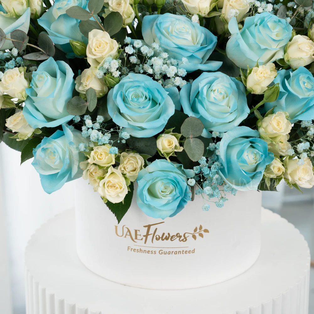 A box arrangement of 20 blue sprayed roses and 5 white spray roses with green & Baby's breath fillers.