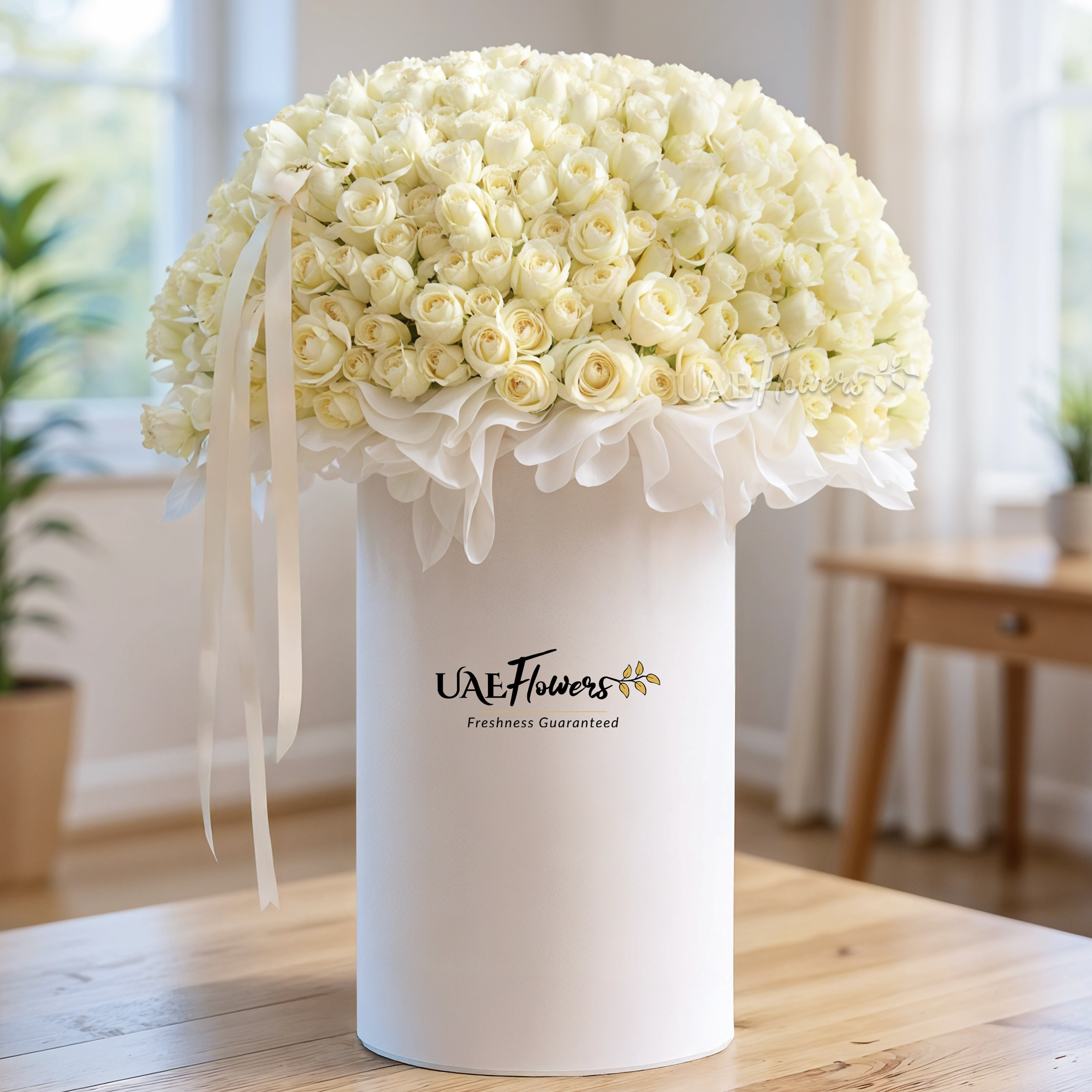 Full round arrangement of 300 white roses in a tall round box.