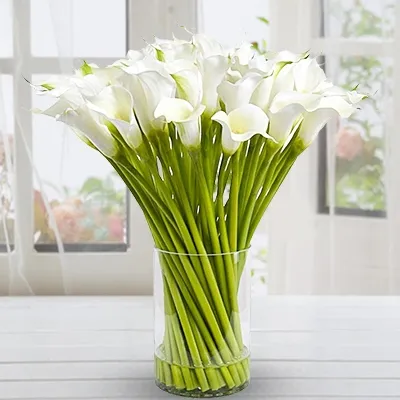 40 white calla lilies in a vase