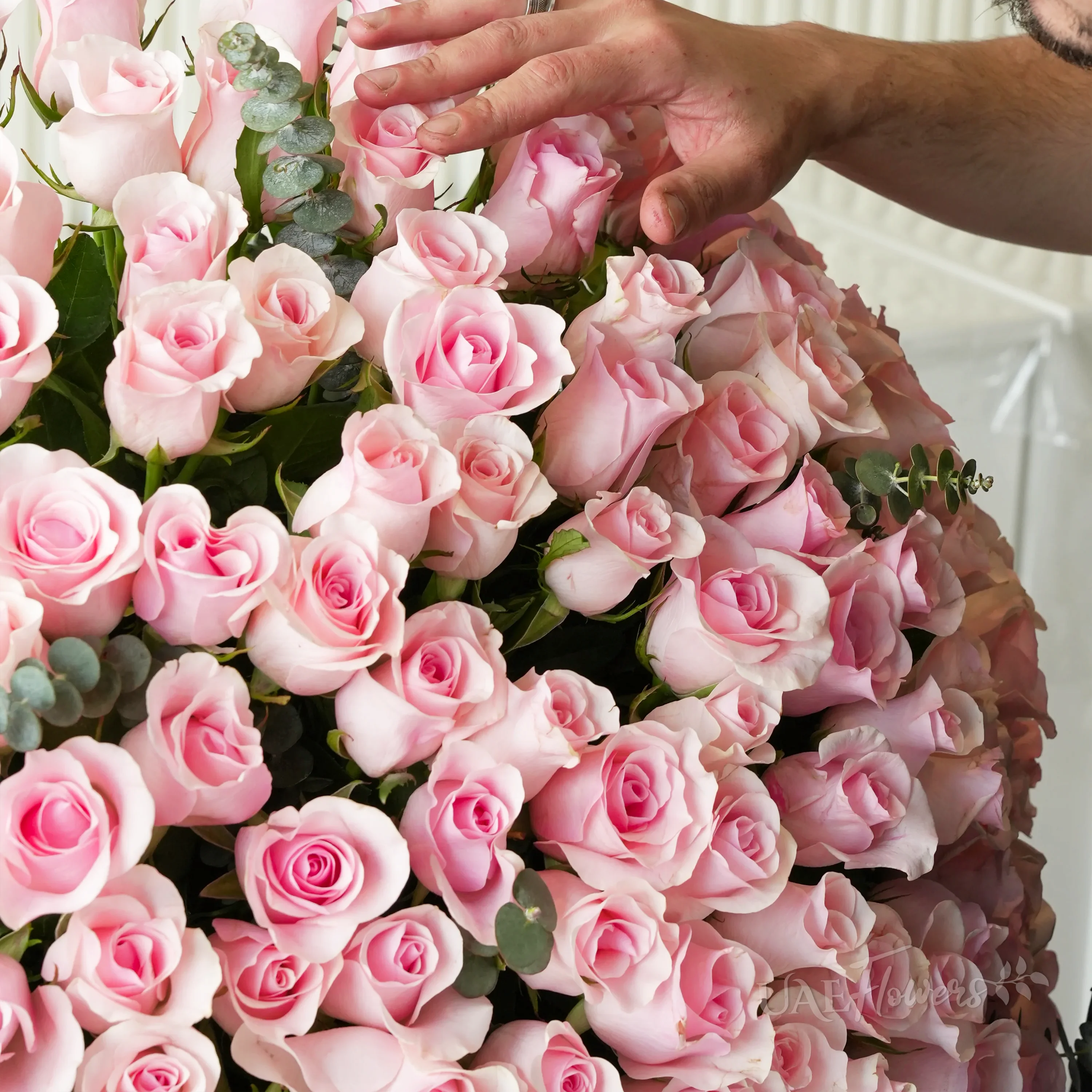 Elegant vase filled with 200 vibrant pink roses and lush green fillers, perfect for grand celebrations.