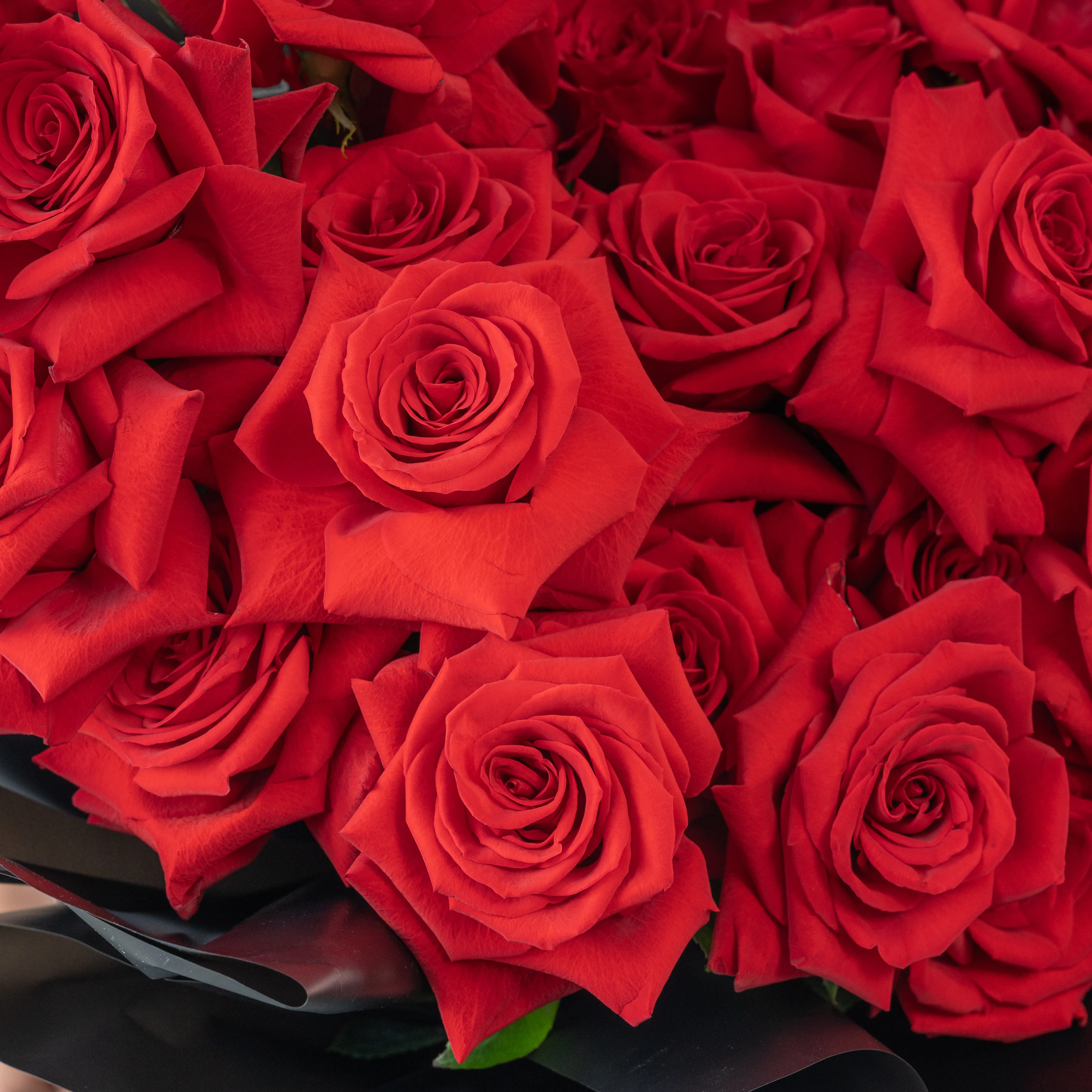 Bouquet of 25 red roses in black paper packing