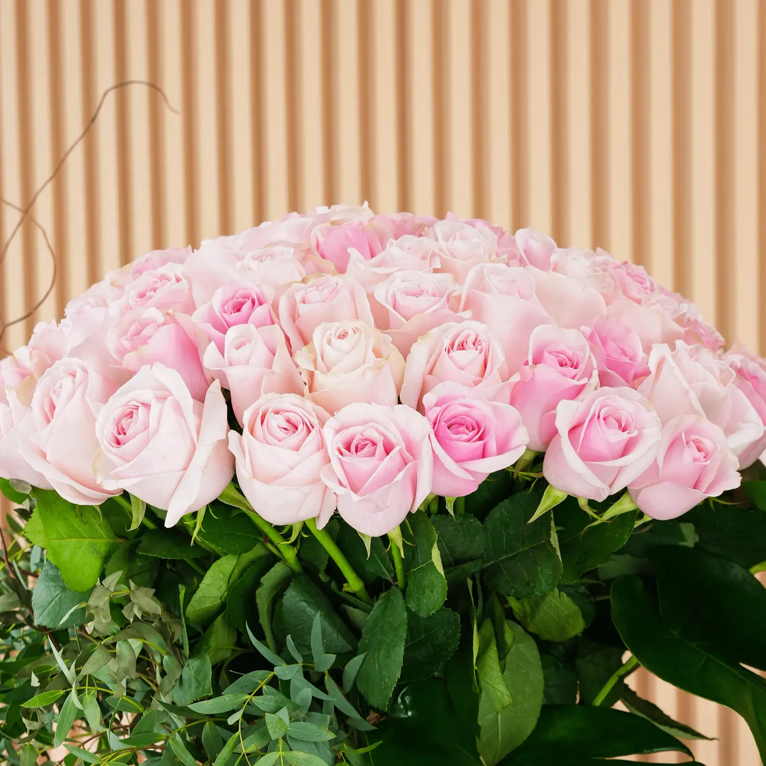 Pink Roses arrangement of 60 pink roses with lots of green fillers in a glass vase.