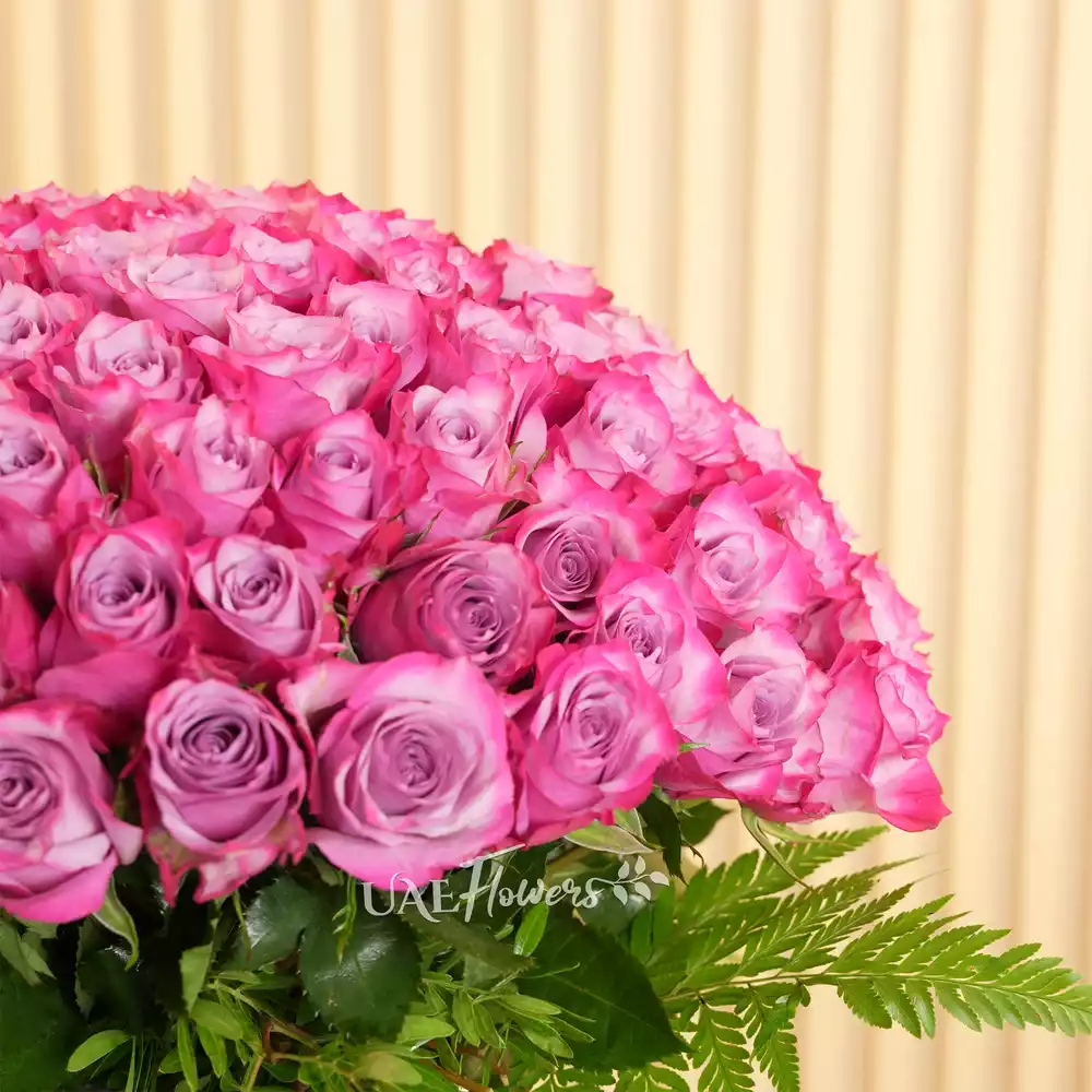 100 Stunning Purple Roses Vase