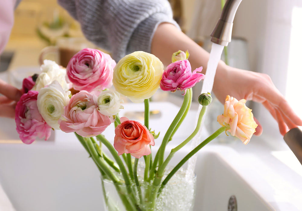 Ways To Make Your Own Flower Food