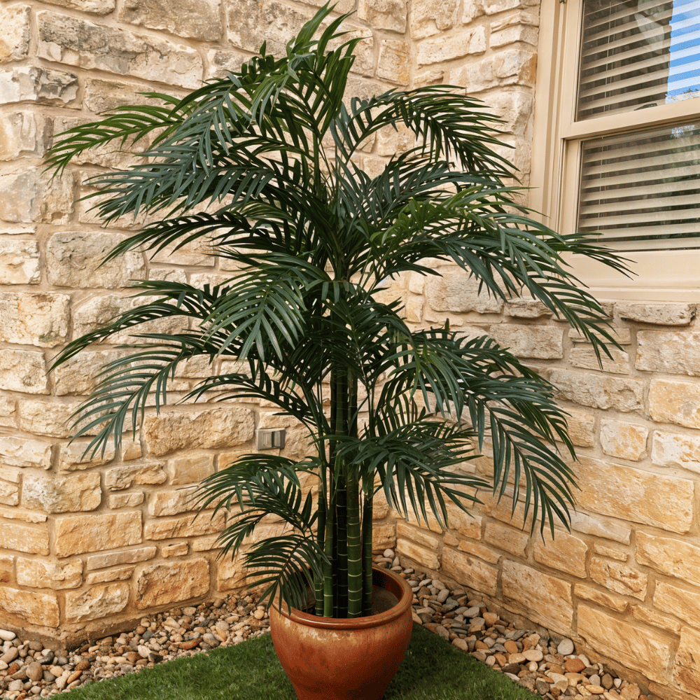 A lush potted areca palm stands against a stone wall, bringing a tropical vibe to the outdoor space with its green fronds.c