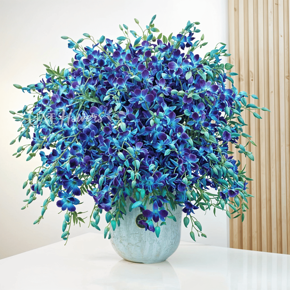 A beautiful vase of vivid blue orchids.