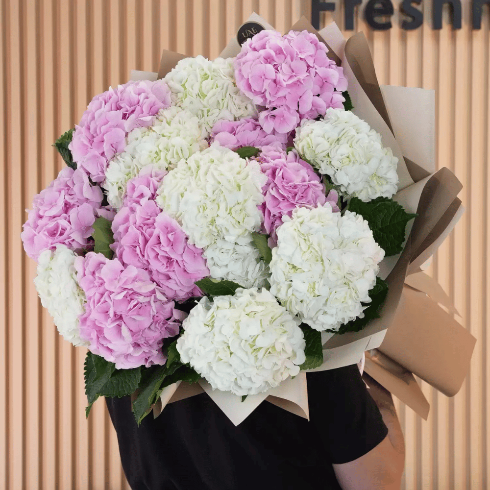 Pink and white hydrangeas in a delicate wrap.