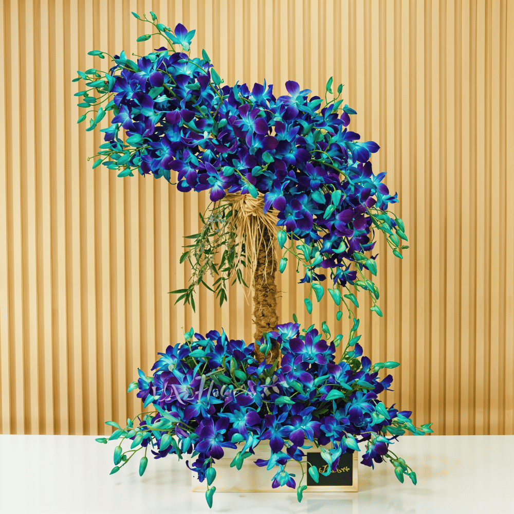 A creative orchid arrangement in a decorative pot.